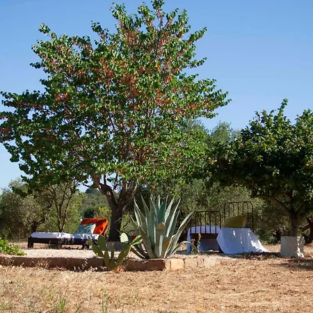 Bed & Breakfast Casale Managola