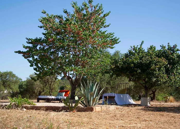 ベッド・アンド・ブレックファスト Casale Managola